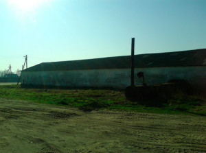 Без-имени-10