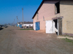 Без-имени-12