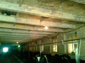 Без-имени-13