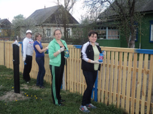 Покраска-забора-Старинскому