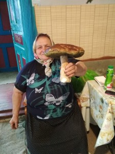 Гриб д Медведное