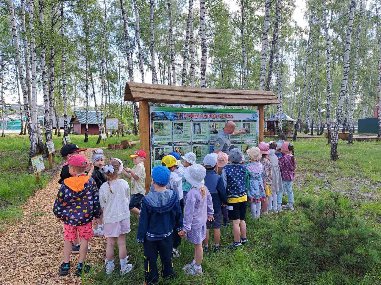 Сад ельск. Экскурсия в лесхоз для дошкольников. Экотропа Ленинская тропа